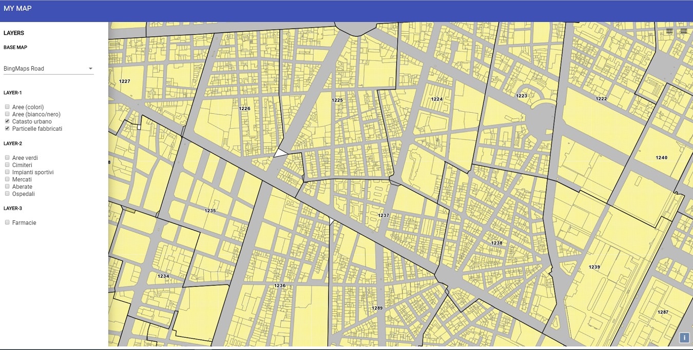 programmatore angular asp.net - github demo openlayer opendata comune torino 2